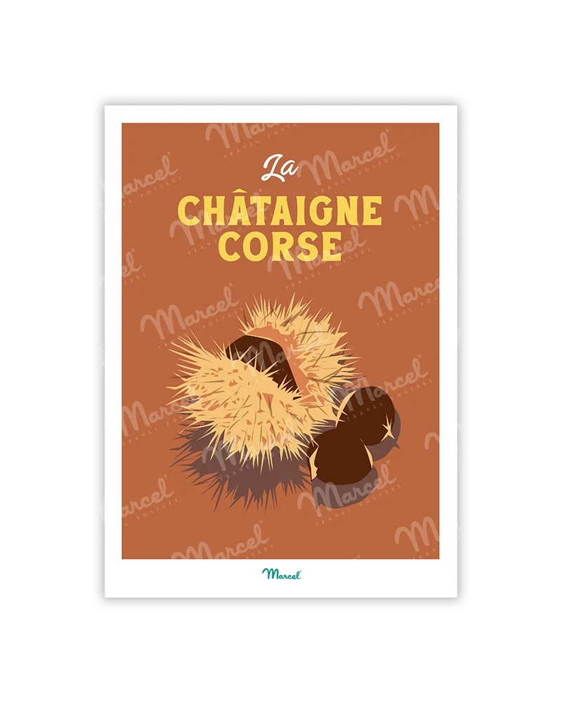 Carte Postale Travel Color CORSE "Châtaigne"