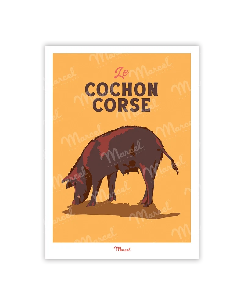 Carte Postale Travel Color CORSE "Cochon"