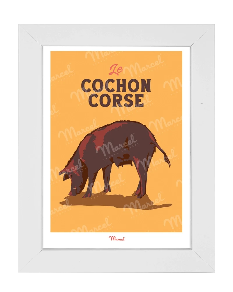 Carte Postale Travel Color CORSE "Cochon"