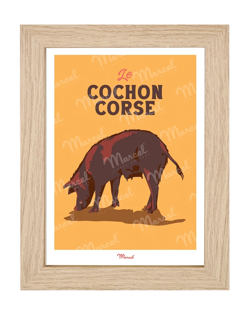 Carte Postale Travel Color CORSE "Cochon"