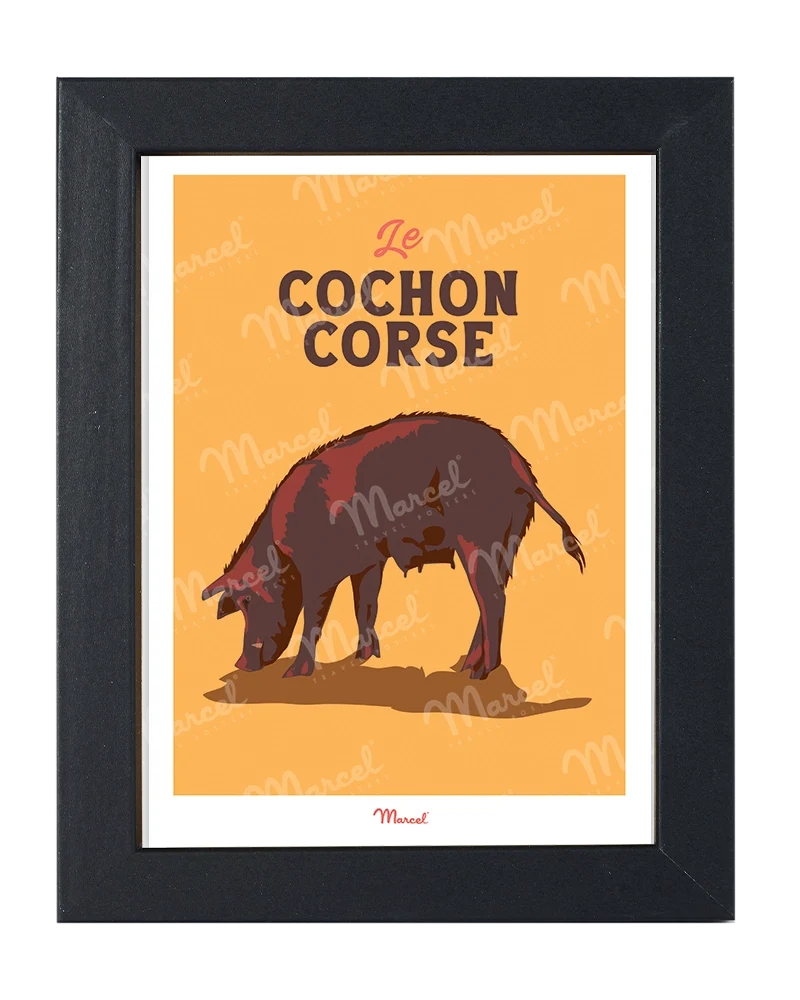 Carte Postale Travel Color CORSE "Cochon"