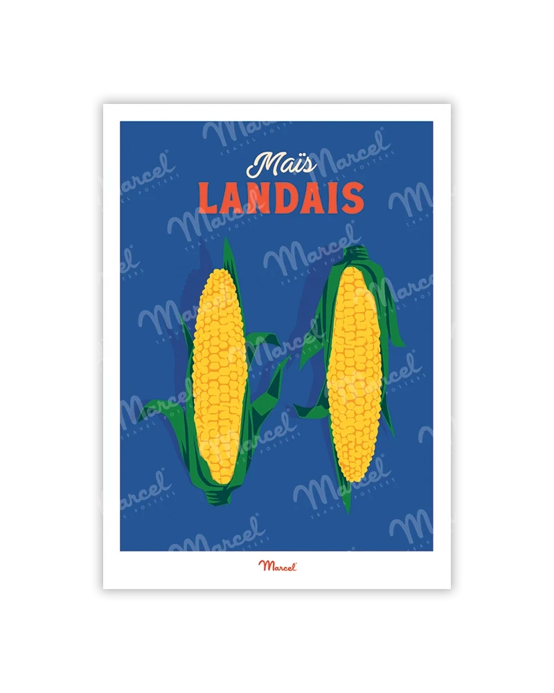 Carte Postale Travel Color LANDES "Maïs"