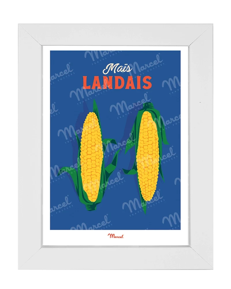 Carte Postale Travel Color LANDES "Maïs"