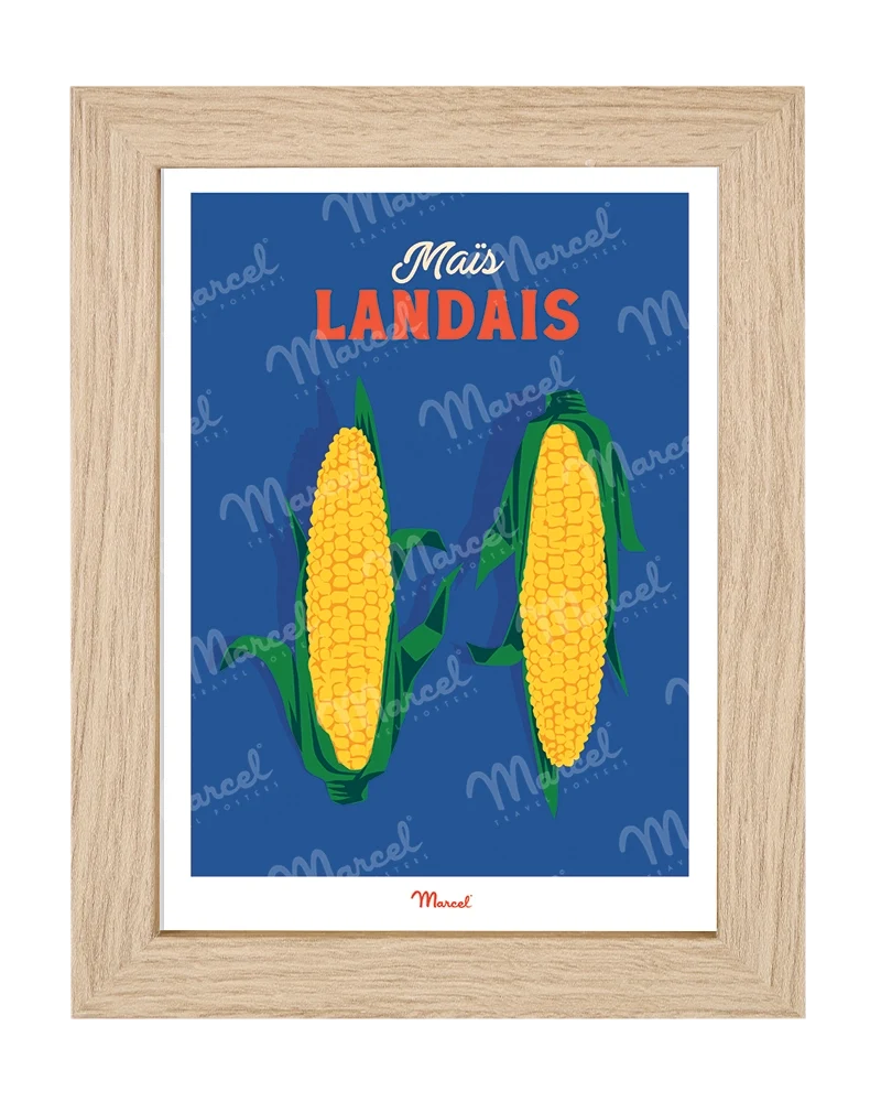 Carte Postale Travel Color LANDES "Maïs"