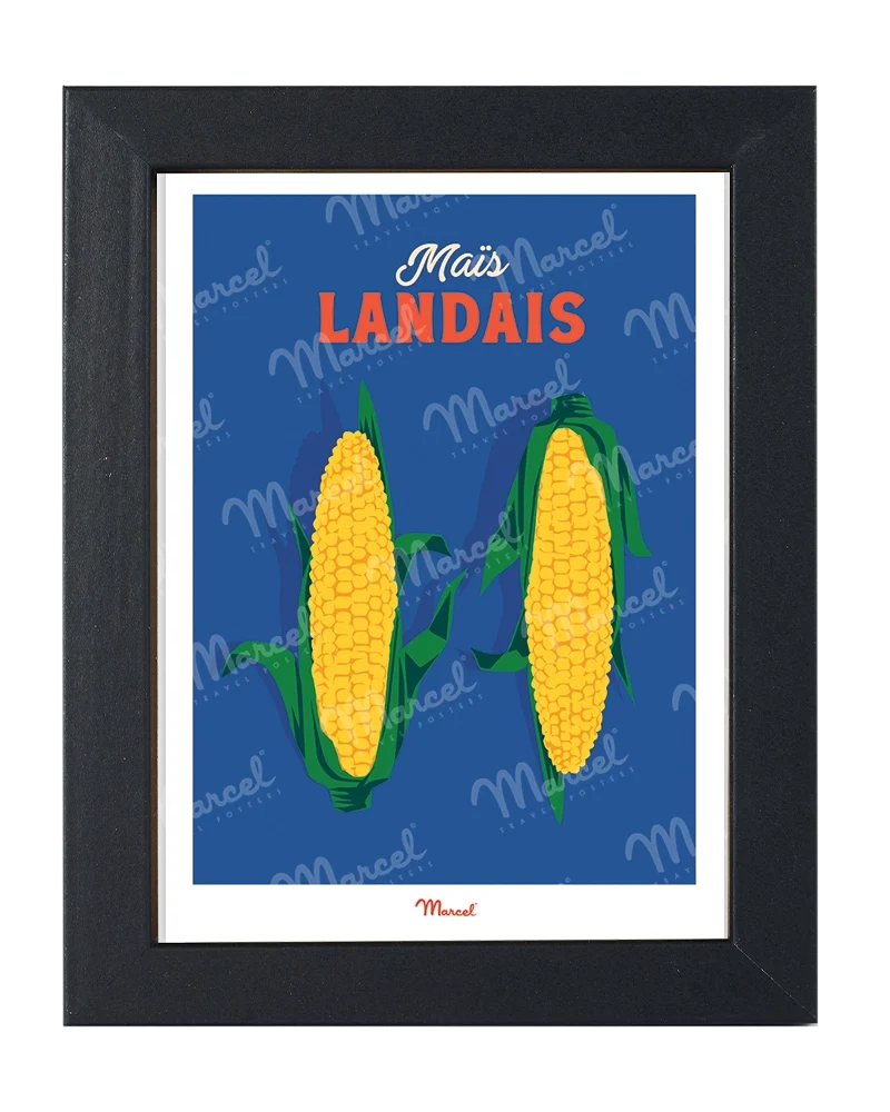 Carte Postale Travel Color LANDES "Maïs"