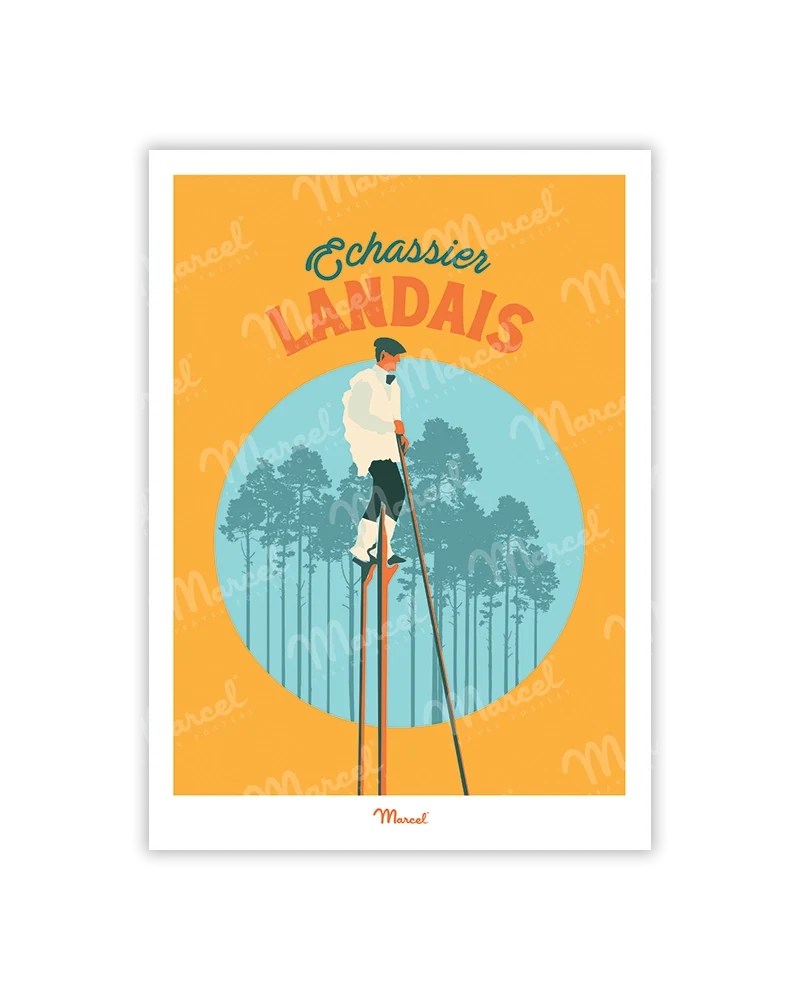 Carte Postale Travel Color LANDES "L'Echassier"