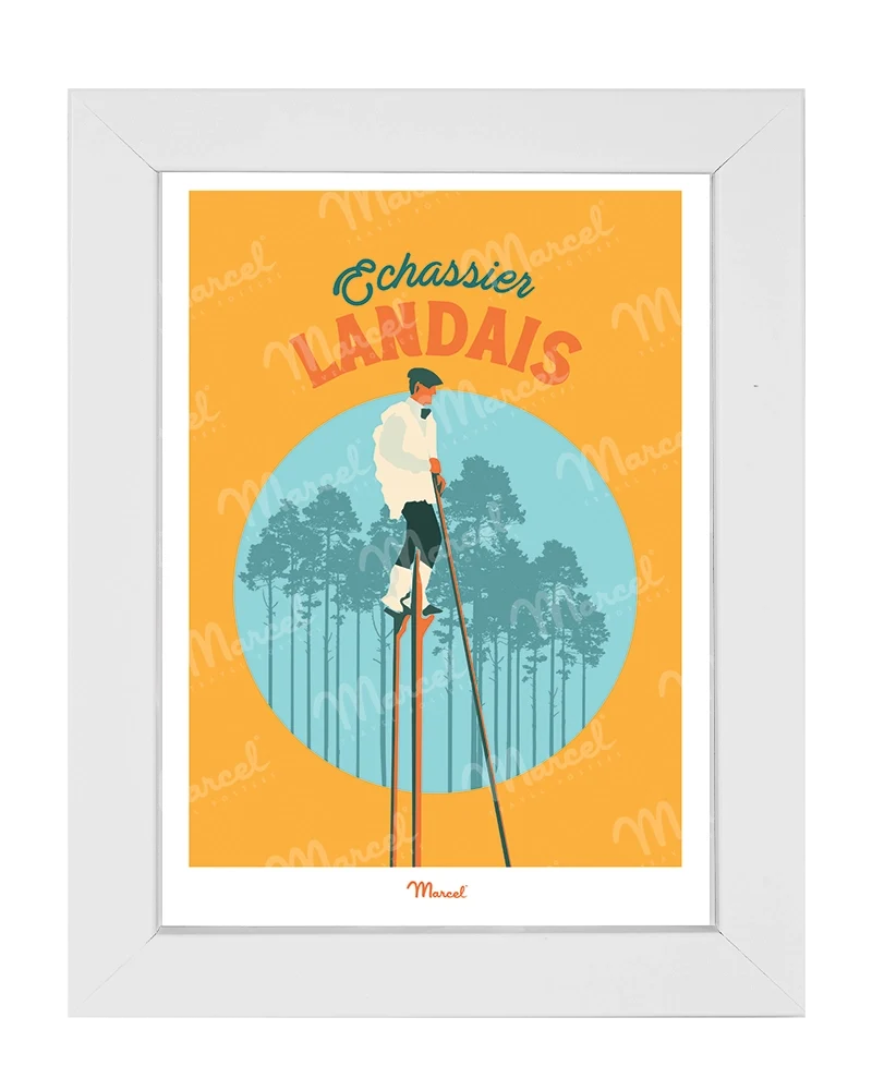 Carte Postale Travel Color LANDES "L'Echassier"