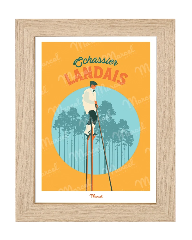 Carte Postale Travel Color LANDES "L'Echassier"