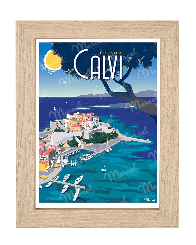 Carte Postale CALVI "Le Port"