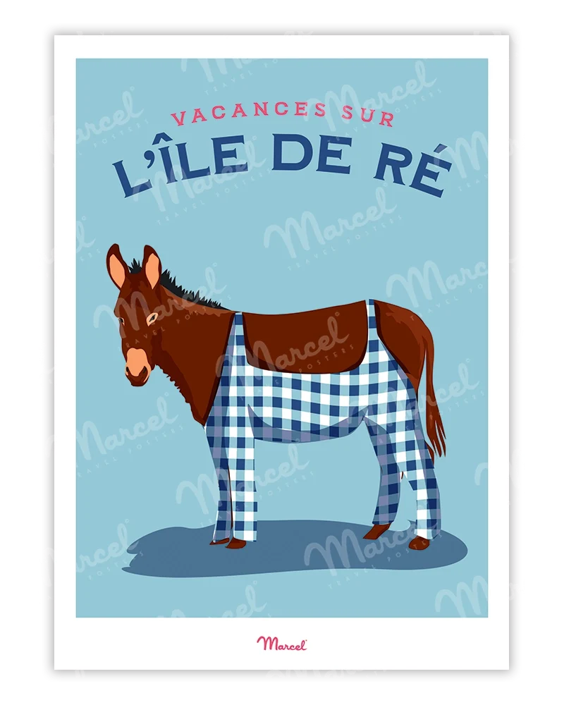 Affiche Travel Color ILE DE RÉ "L'Âne"