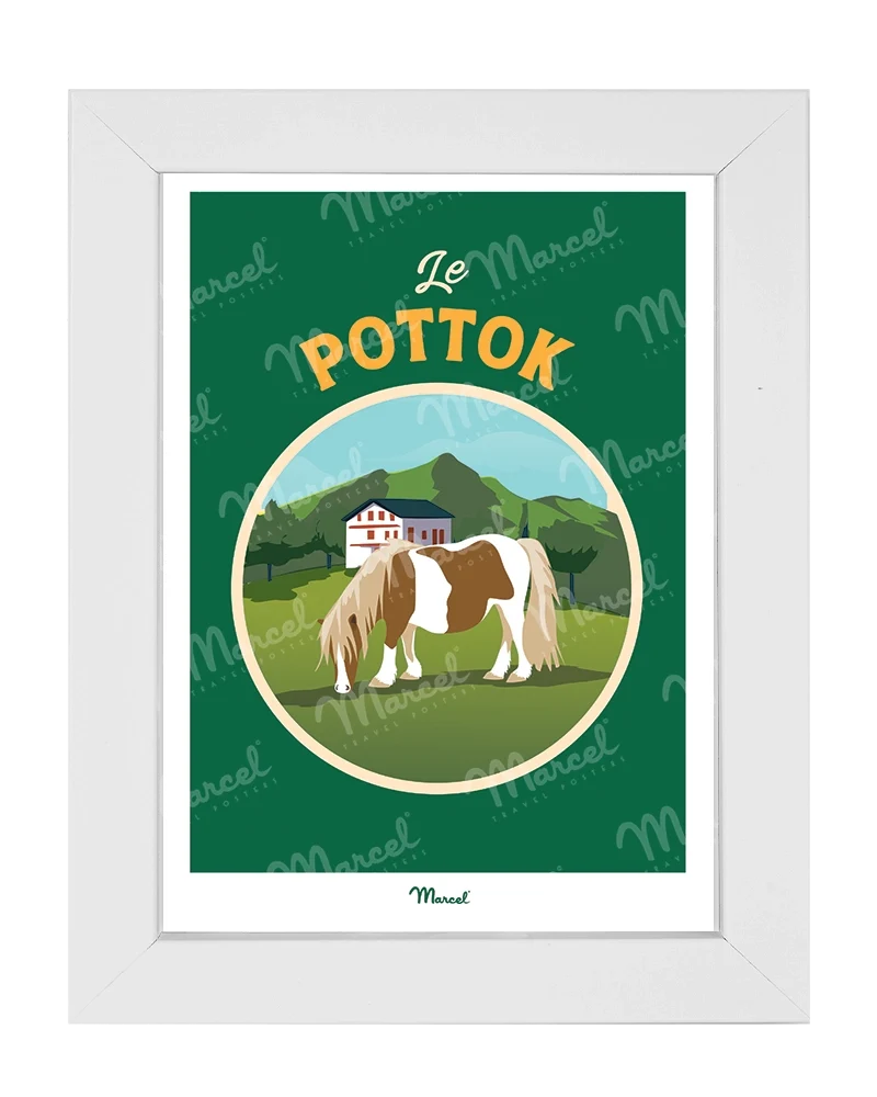 Carte Postale Travel Color PAYS BASQUE "Le Pottok"