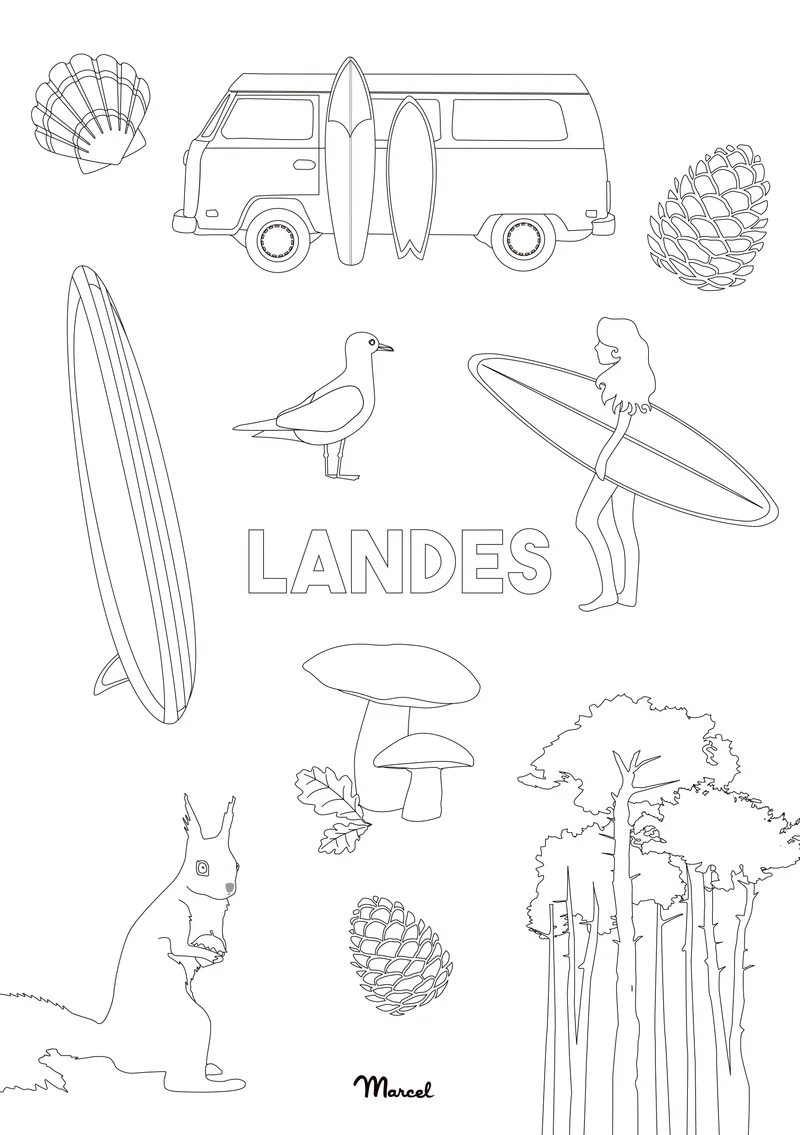 Carte Postale A5 à colorier LANDES "Mix"
