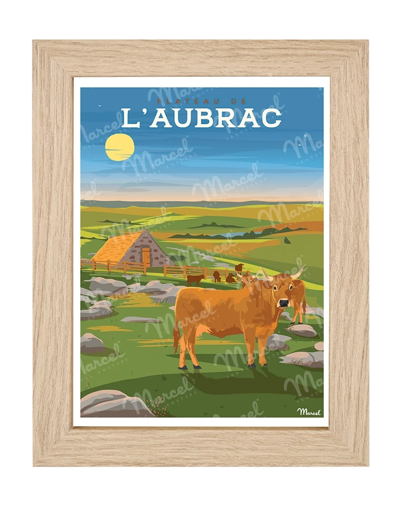 Carte Postale Le Plateau d'AUBRAC