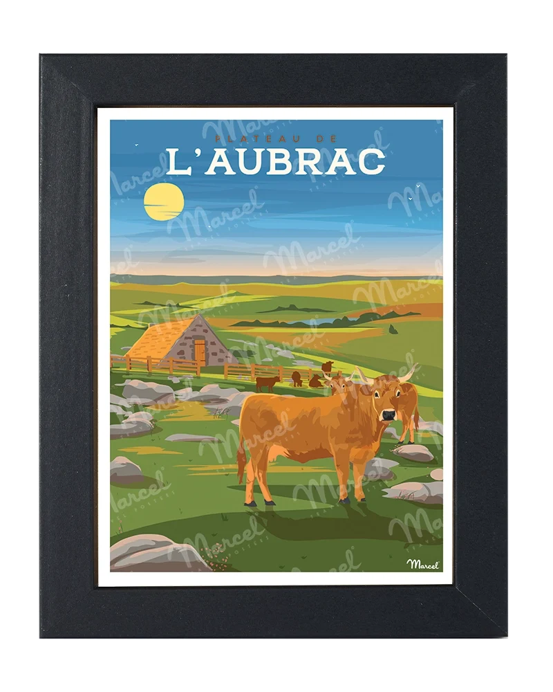 Carte Postale Le Plateau d'AUBRAC
