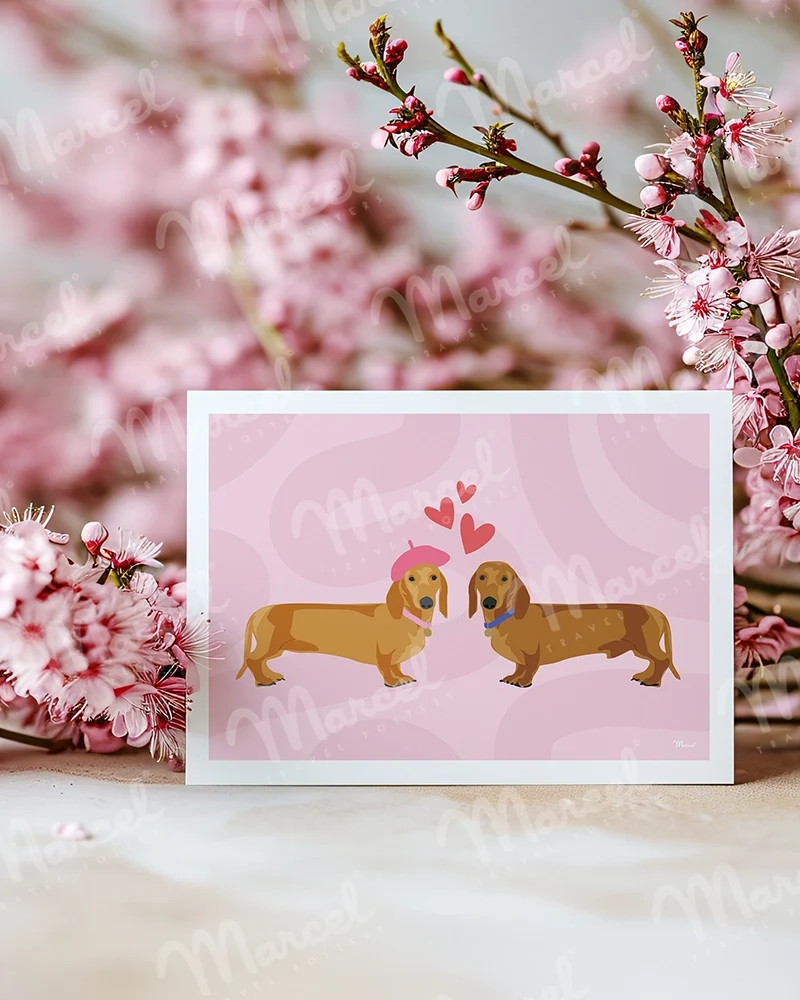 Carte Postale Amour "Couple Teckel"