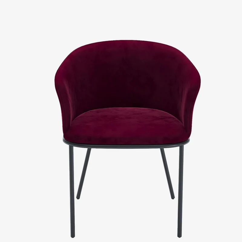 Lot de 2 fauteuils de salle à manger en velours