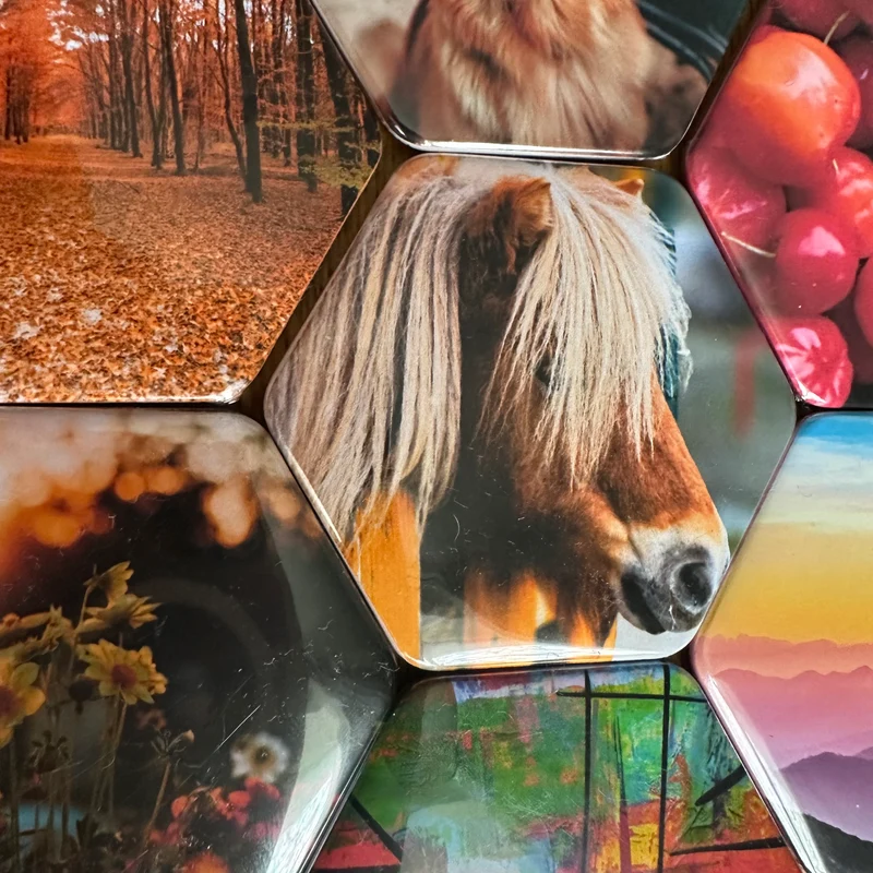 Single hexagon custom made photo magnet 65x58mm