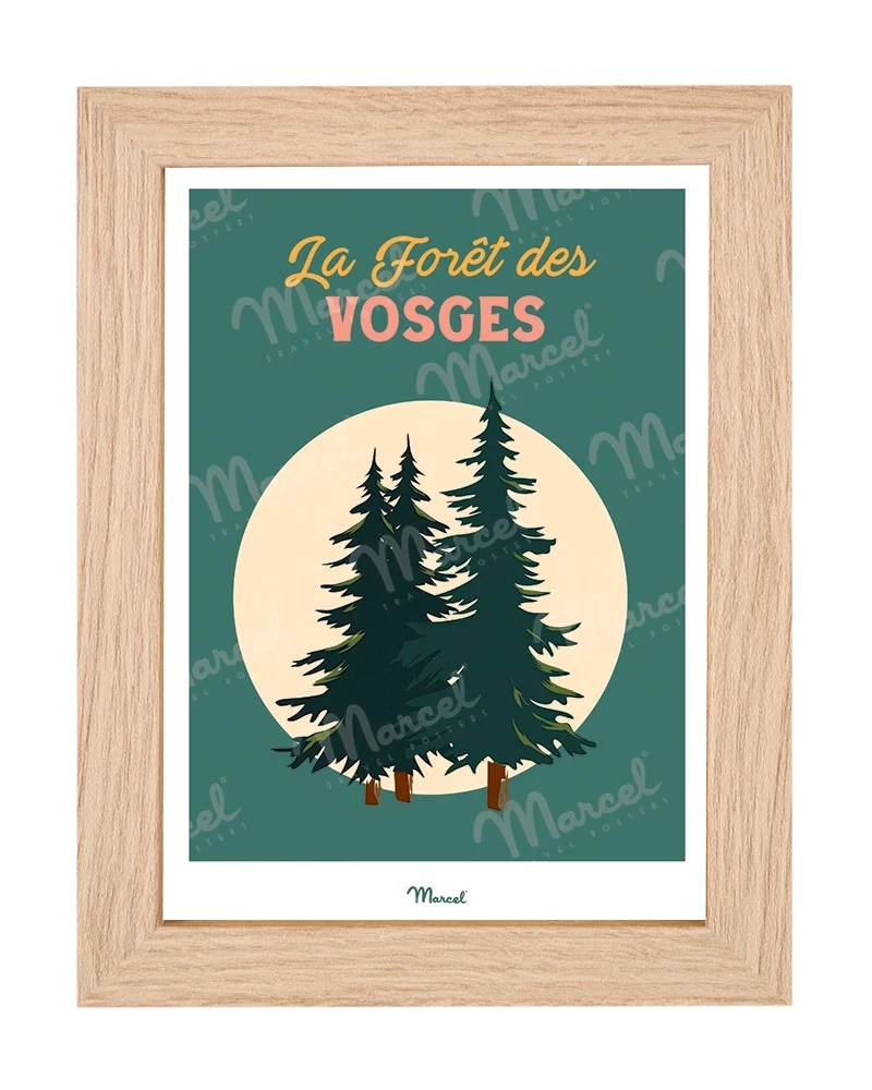 Carte postale Travel Color "Forêt des Vosges"