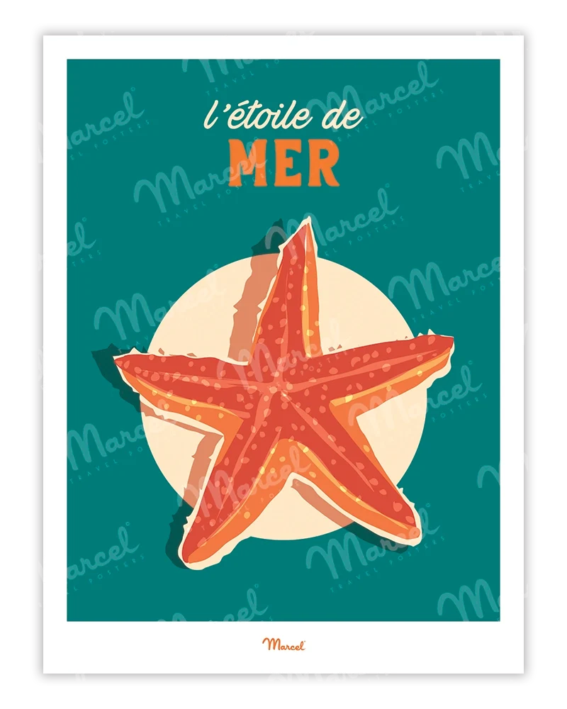 Affiche Travel Color "L'Etoile de Mer"
