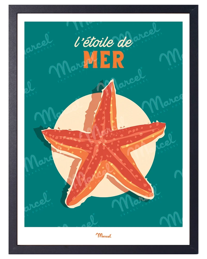 Affiche Travel Color "L'Etoile de Mer"