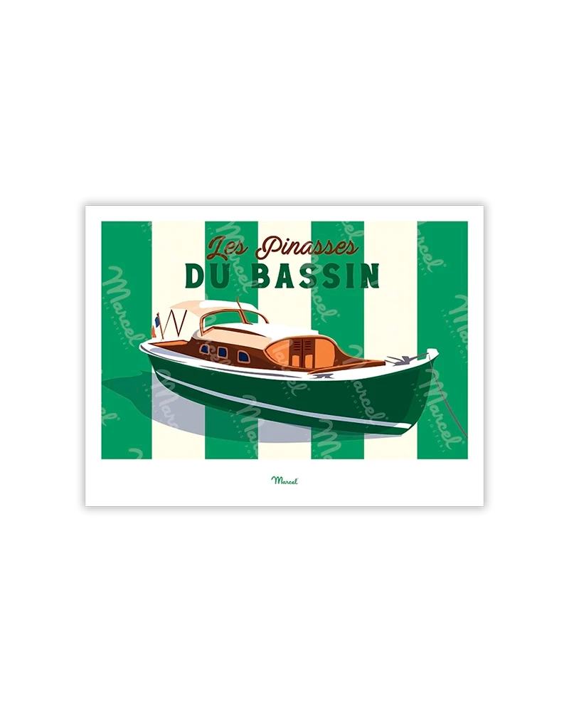 Carte postale Travel Color "les Pinasses vertes du Bassin"