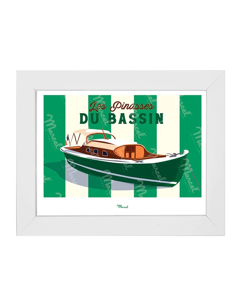 Carte postale Travel Color "les Pinasses vertes du Bassin"