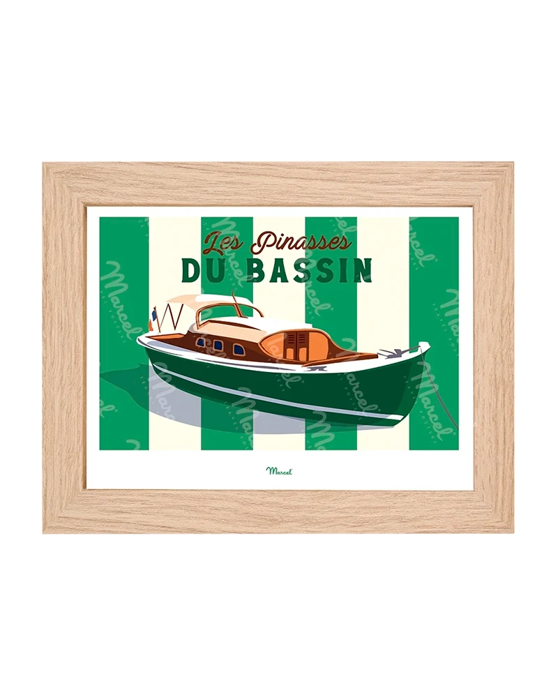 Carte postale Travel Color "les Pinasses vertes du Bassin"