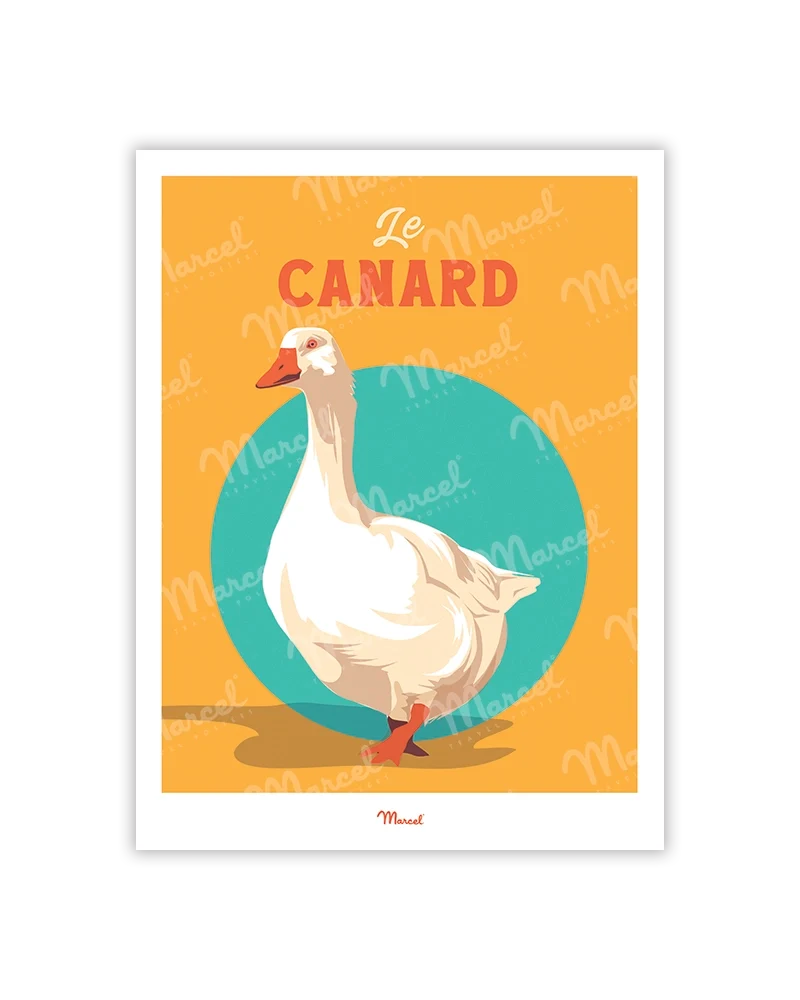 Carte Postale Travel Color "Le Canard du Sud-Ouest"