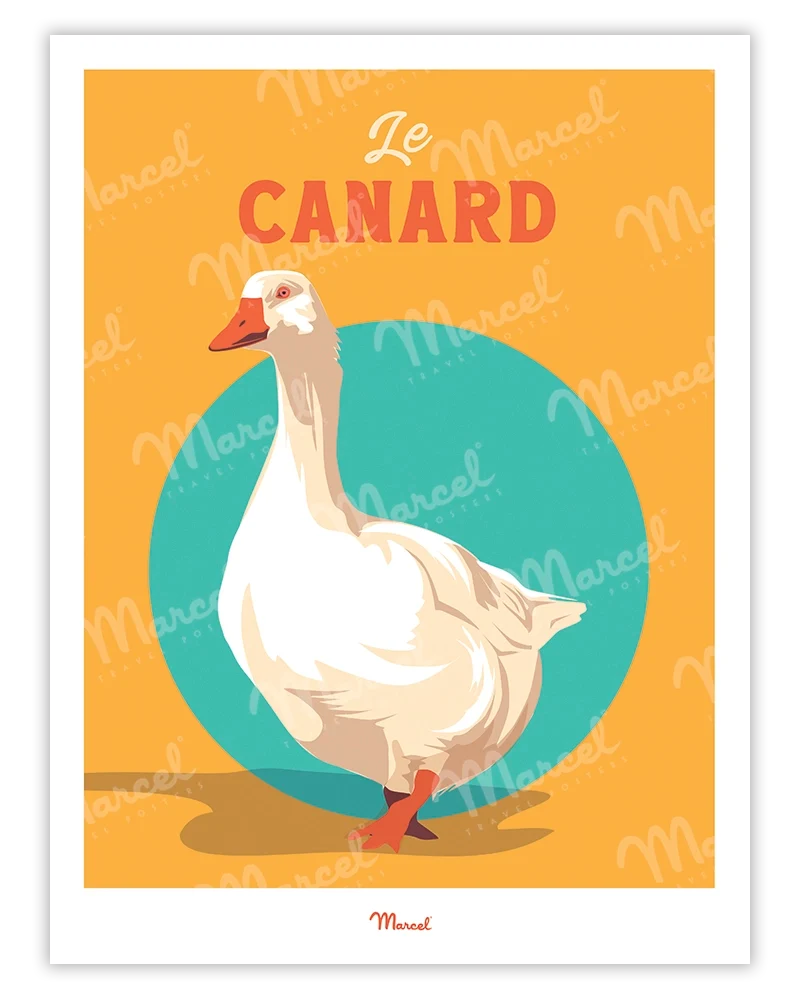 Affiche Travel Color "le Canard du Sud-Ouest"