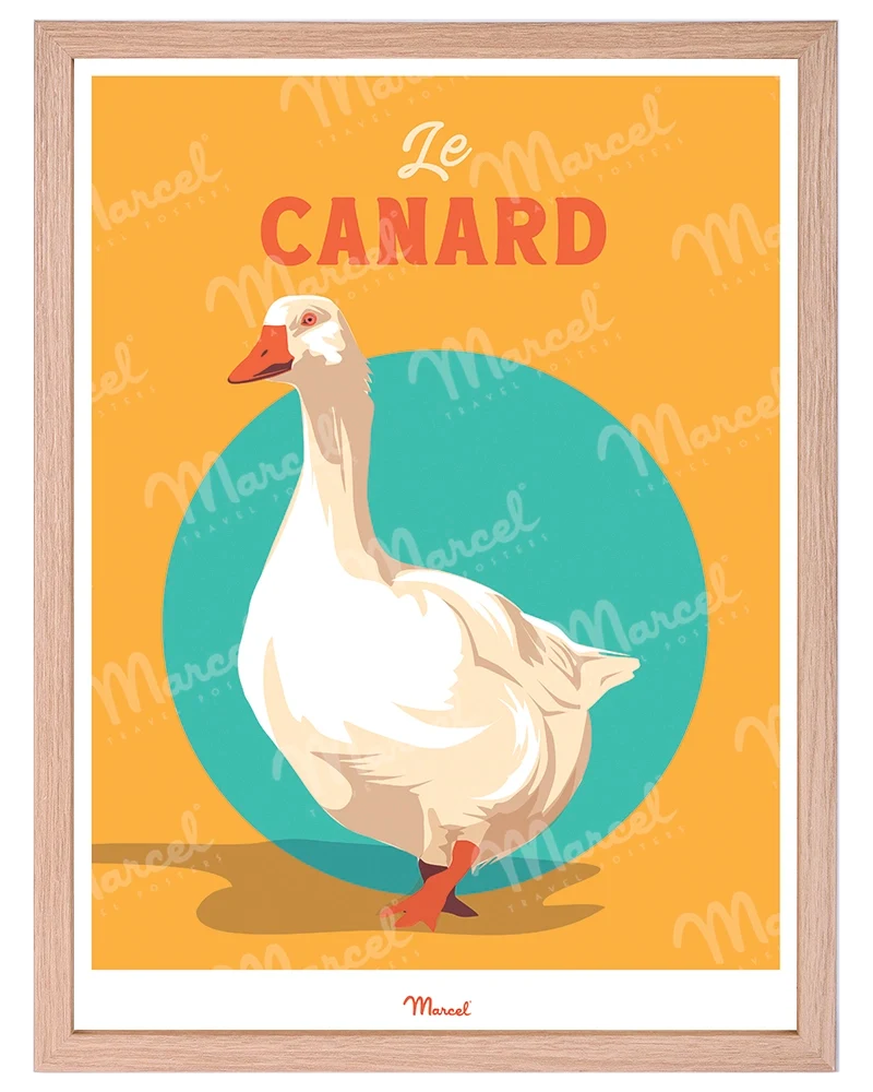 Affiche Travel Color "le Canard du Sud-Ouest"