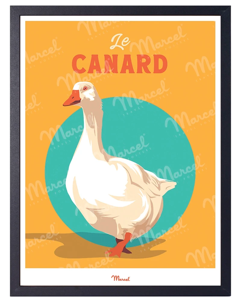 Affiche Travel Color "le Canard du Sud-Ouest"