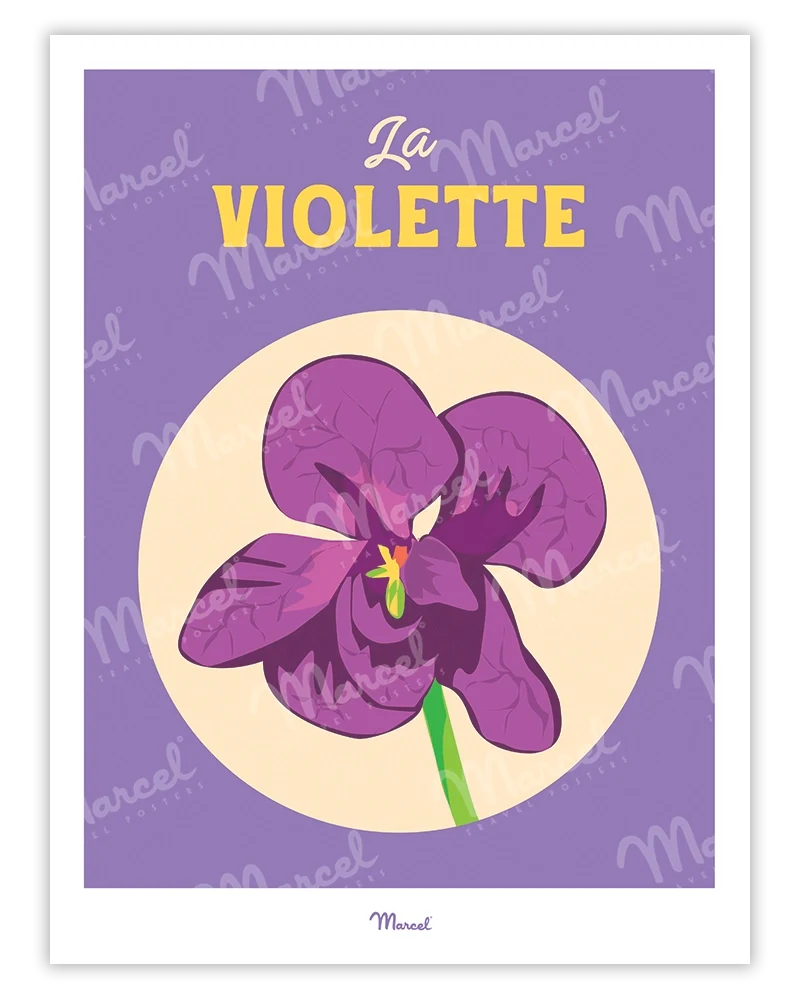 Affiche Travel Color TOULOUSE "La violette"