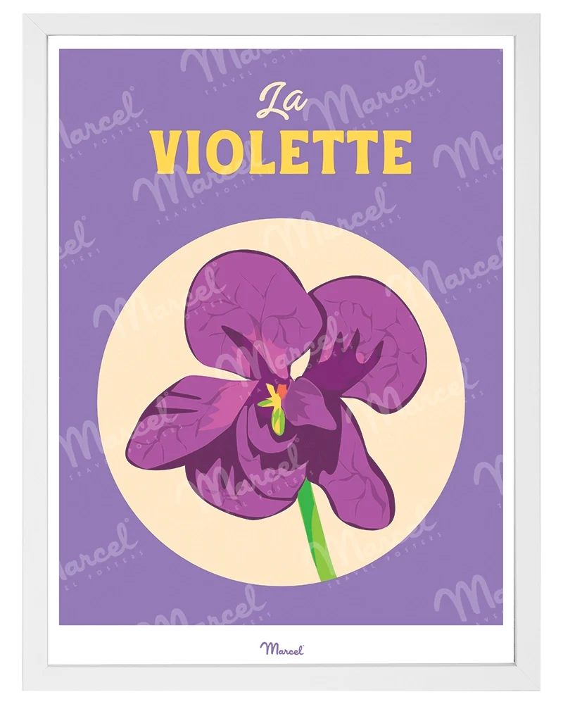 Affiche Travel Color TOULOUSE "La violette"