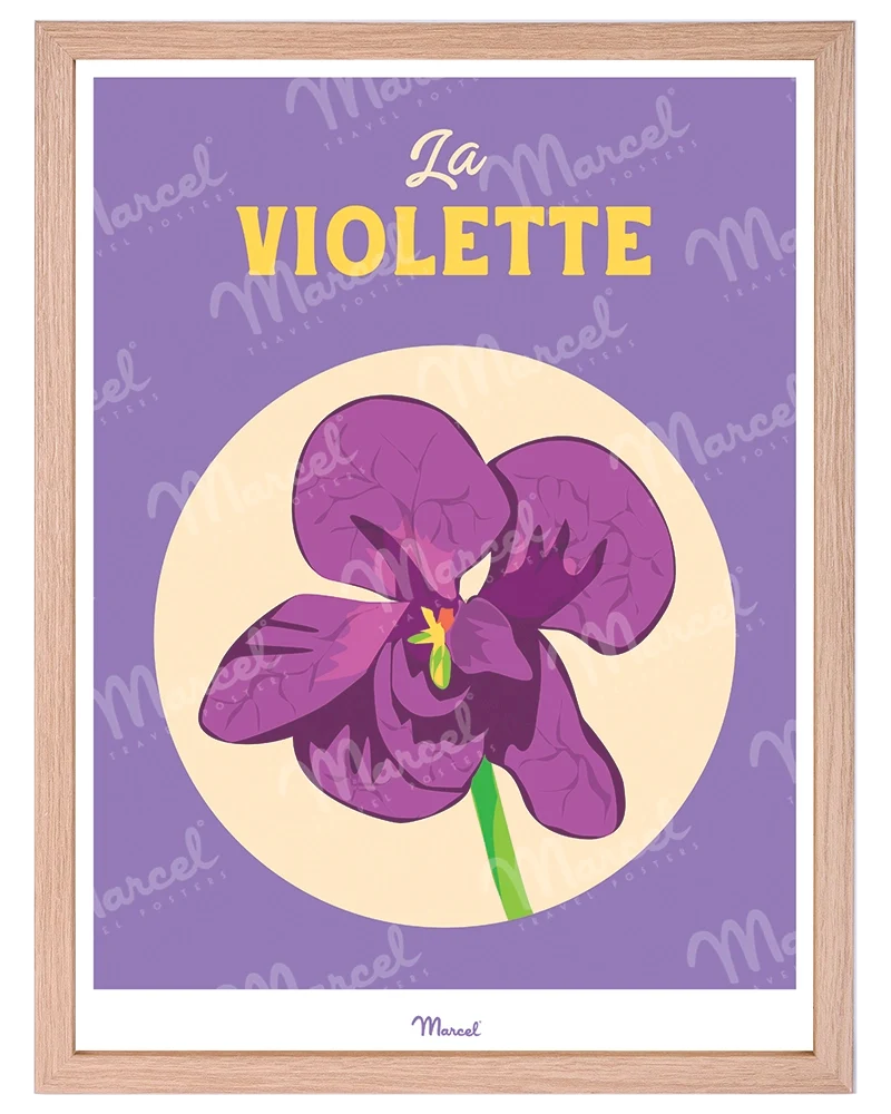 Affiche Travel Color TOULOUSE "La violette"