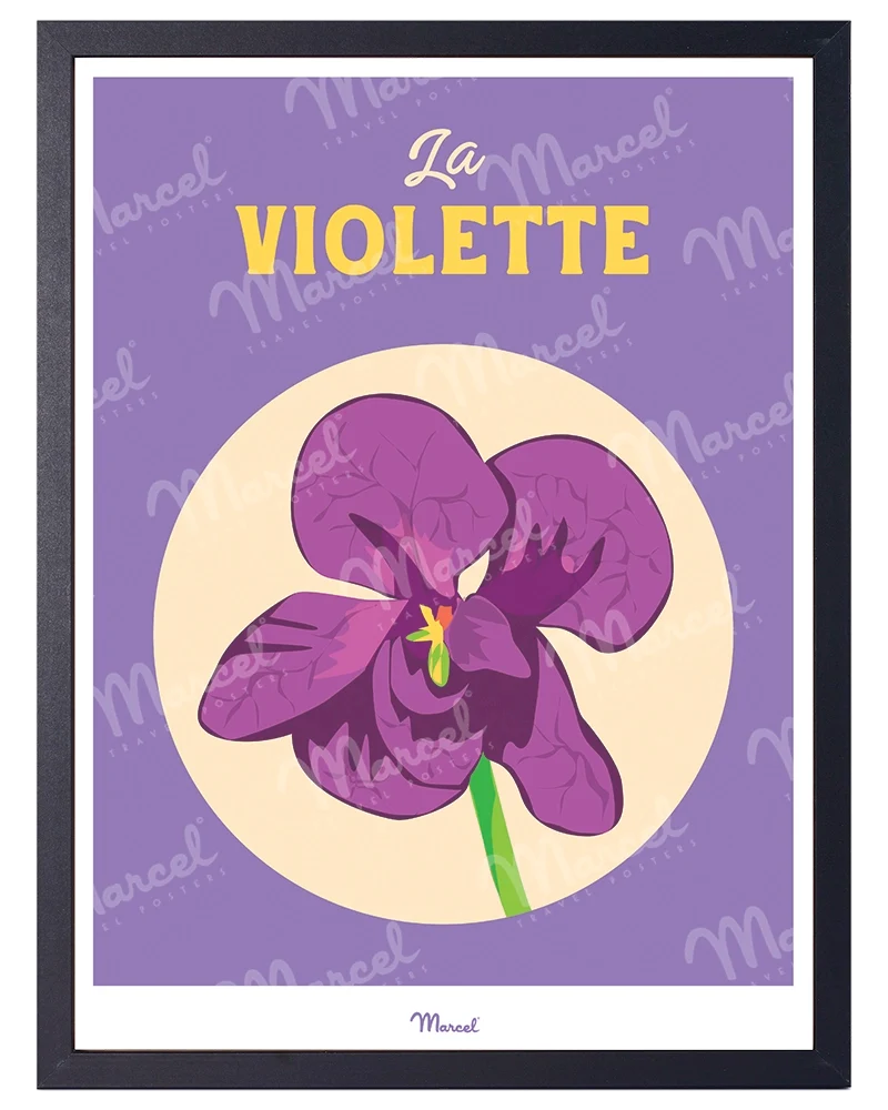 Affiche Travel Color TOULOUSE "La violette"