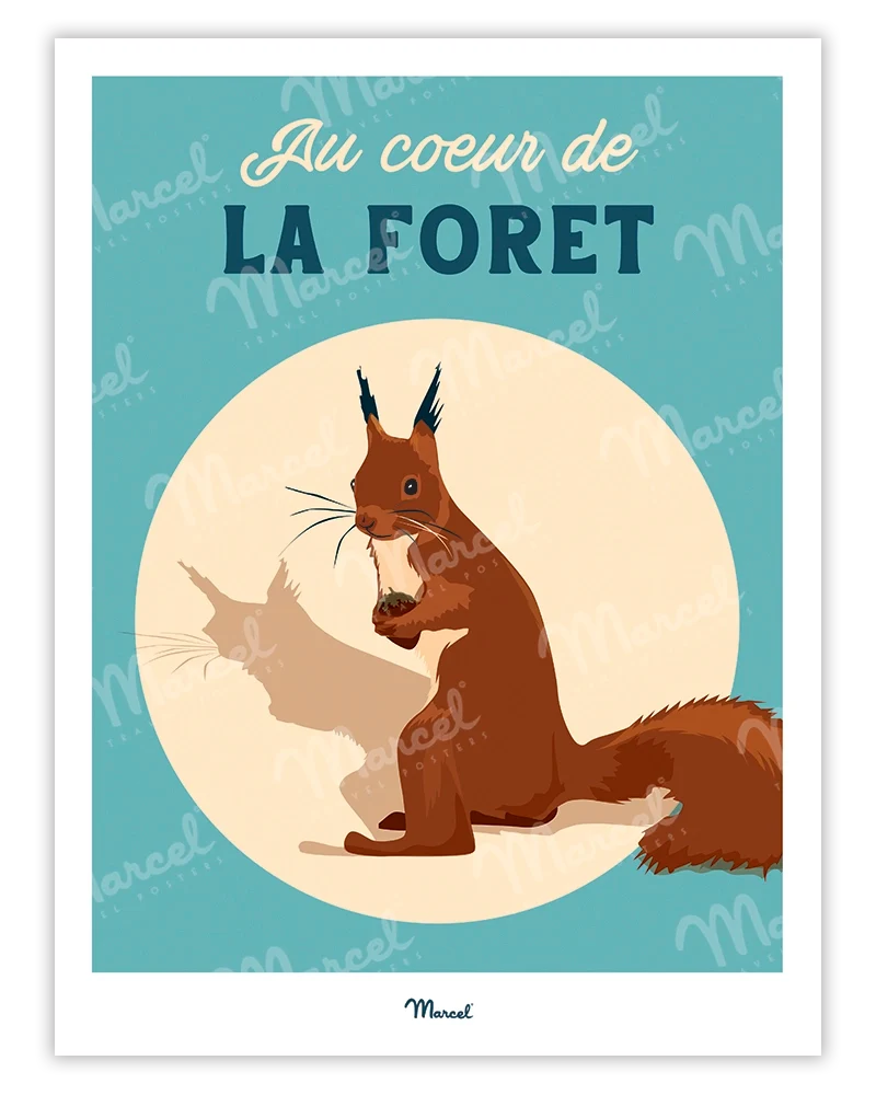 Affiche Travel Color "Écureuil au coeur de la forêt"