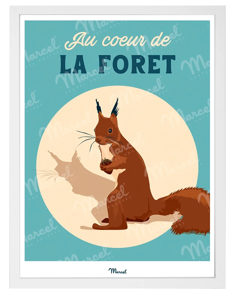 Affiche Travel Color "Écureuil au coeur de la forêt"