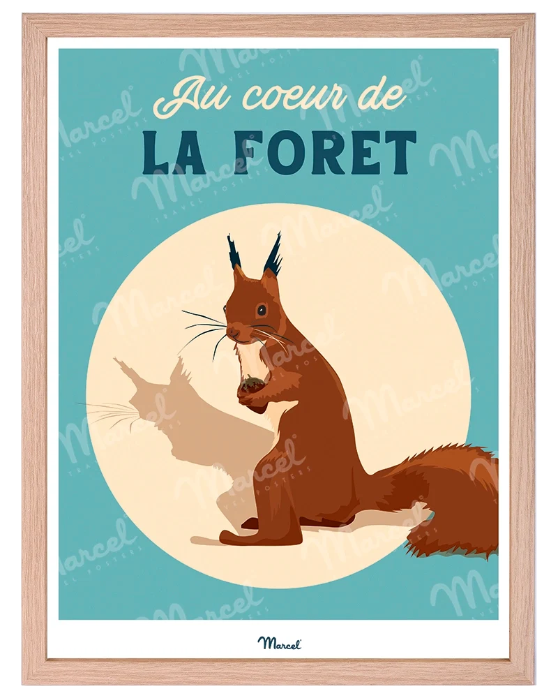 Affiche Travel Color "Écureuil au coeur de la forêt"