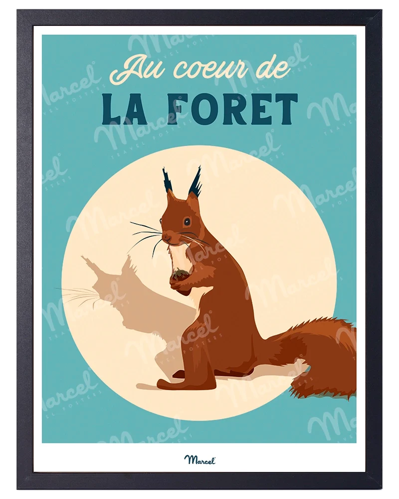 Affiche Travel Color "Écureuil au coeur de la forêt"