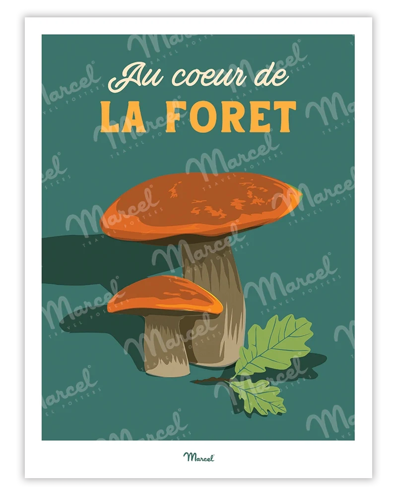 Affiche Travel Color "Champignon au coeur de la forêt"