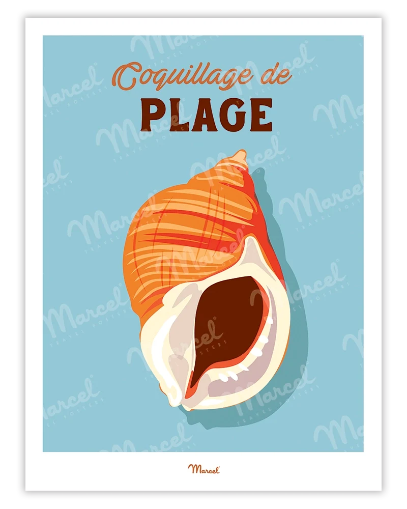 Affiche Travel Color "Coquillage de plage"