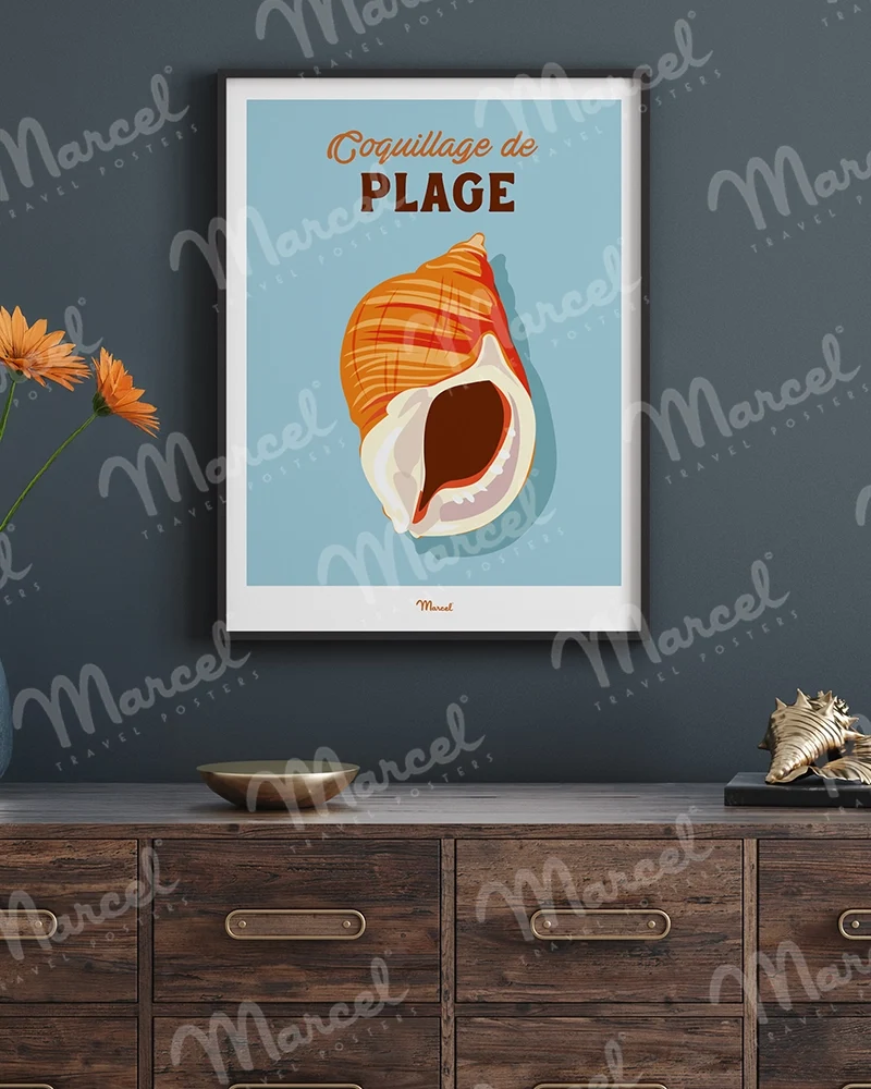 Affiche Travel Color "Coquillage de plage"