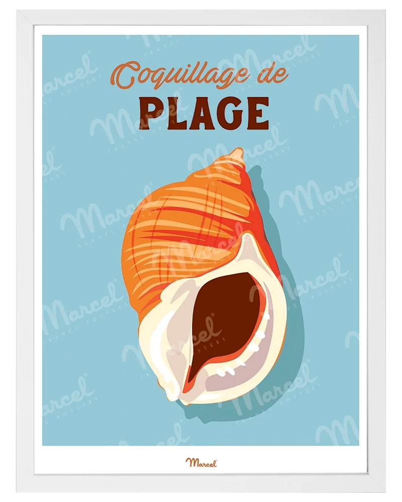Affiche Travel Color "Coquillage de plage"