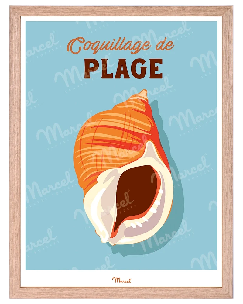 Affiche Travel Color "Coquillage de plage"