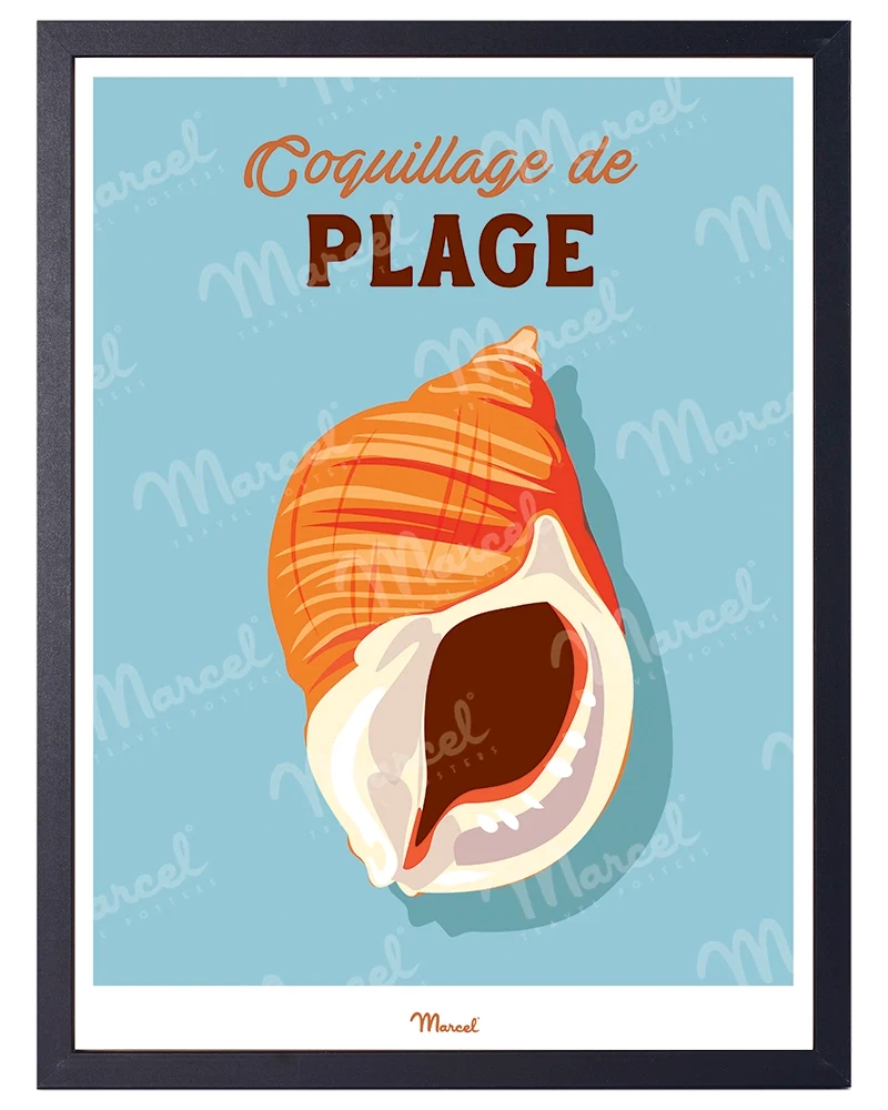 Affiche Travel Color "Coquillage de plage"