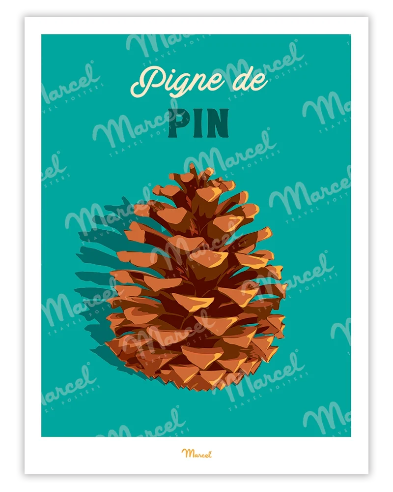 Affiche Travel Color "Pigne de Pin"