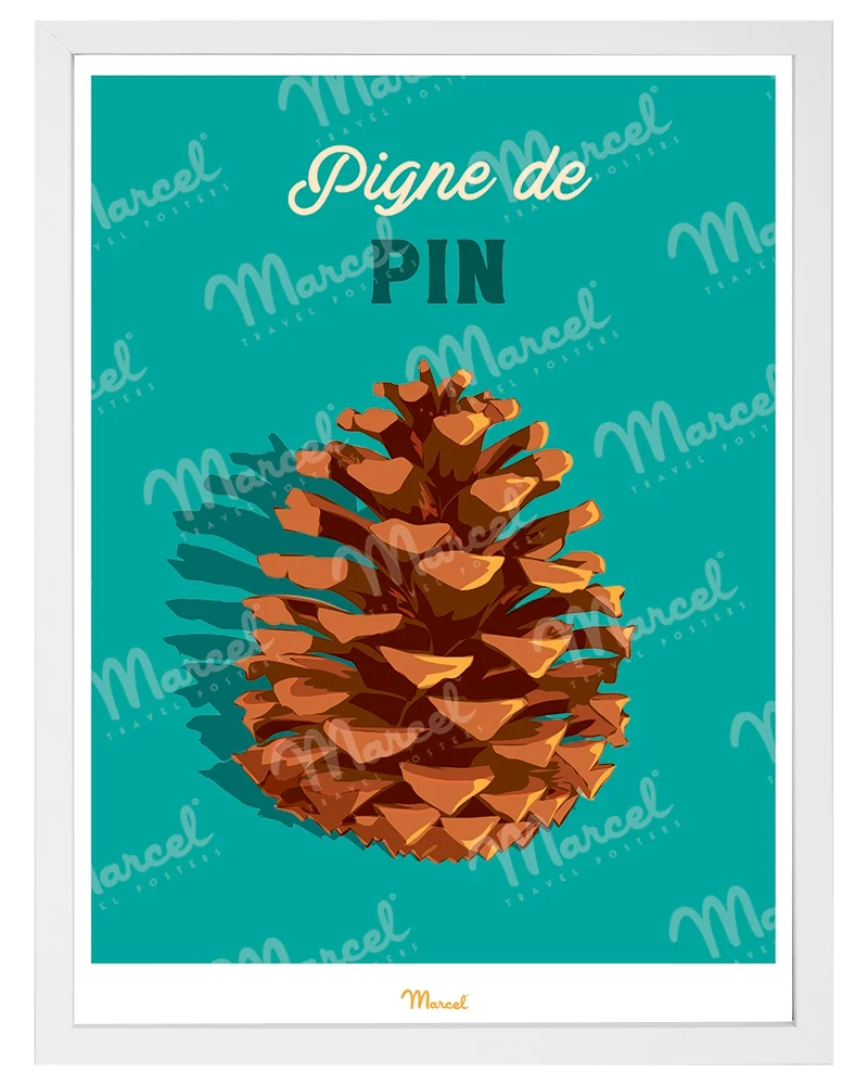 Affiche Travel Color "Pigne de Pin"