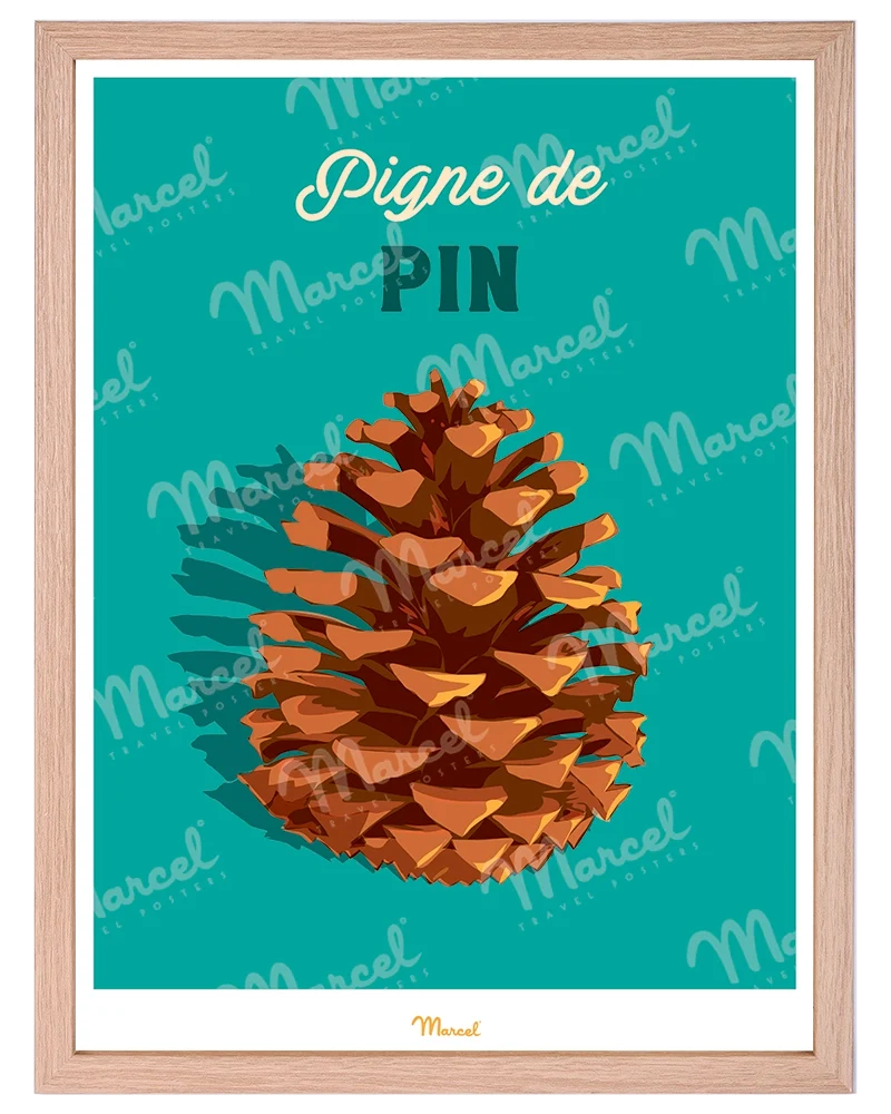 Affiche Travel Color "Pigne de Pin"
