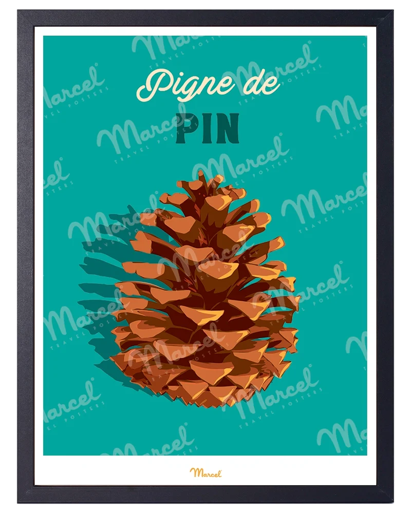 Affiche Travel Color "Pigne de Pin"