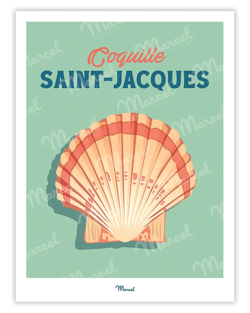 Affiche Travel Color "Coquille Saint-Jacques"